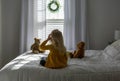 Backview of little girl sitting on bed looking out the window Royalty Free Stock Photo