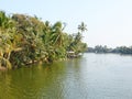 Backwater Canal with Curved Palm Trees, Kerala, India