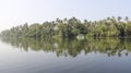 Backwater And Coconut Plantation with sightseeing tourist boat