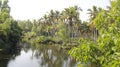 Backwater And Coconut Plantation Topical Landscape