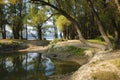 Backwater, Danube river shore in Hungary