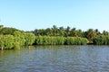 Backwater View in the Vayalapra Floating Park in Kannur District in Kerala, India