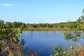 Backwater View in the Vayalapra Floating Park in Kannur District in Kerala, India