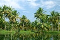 Backwaters of Kerala Royalty Free Stock Photo