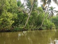 Backwaters of Kerala With Greenery