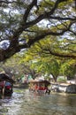 Backwaters, Kerala, India Royalty Free Stock Photo