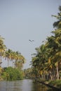 Backwaters kerala, India Royalty Free Stock Photo