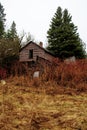 Backyard Of An Abandoned House In The Woods Royalty Free Stock Photo