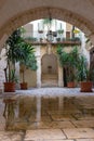 Backyard with arch, plants in pots, stairs, puddle and lantern. Patio decoration. Ancient courtyard background.