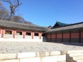 Backyard of Changdeokgung Palace