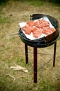 BACKYARD BARBECUE GRILL Royalty Free Stock Photo