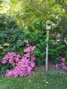 Backyard Birdhouse