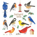 Backyard birds flat color vector icons collection