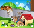 Backyard with cartoon cat and dog