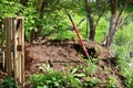 Backyard compost pile