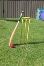 Backyard Cricket Royalty Free Stock Photo