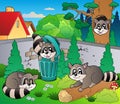 Backyard with cute racoons Royalty Free Stock Photo