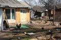 Backyard, Decayed Russian Village Royalty Free Stock Photo