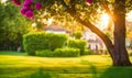 Backyard expanse, vibrant green neatly trimmed grass showcasing an area