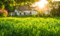 Backyard expanse, vibrant green neatly trimmed grass showcasing an area