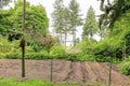 Backyard with fenced garden bed