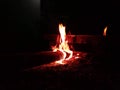 Backyard fire camp. Night. Fire. Logs. Woods. Royalty Free Stock Photo