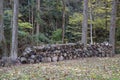 Backyard Fire Wood Stack