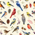 Backyard garden birds seamless pattern. Watercolor illustration. Hand painted red cardinal, bluebird, waxwing, robin