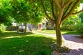 Backyard garden with brick tile walkway