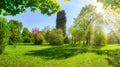 Backyard and garden with manu trees and grass on lawn