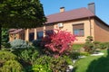 Backyard garden with nicely trimmed bonsai, bushes and bushes in front of villa Royalty Free Stock Photo