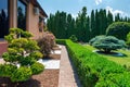 Backyard garden with nicely trimmed bonsai, bushes and bushes in side of villa Royalty Free Stock Photo