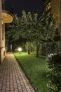 Backyard Garden Path at Night Royalty Free Stock Photo