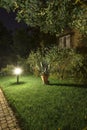 Backyard Garden Path at Night Royalty Free Stock Photo