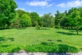 Backyard and garden with spring trees and grass on lawn Royalty Free Stock Photo