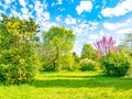 Backyard and garden with trees, green grass on lawn and blue sky with white clouds Royalty Free Stock Photo