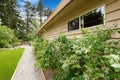 Backyard with gravel walkway and bushes alongside Royalty Free Stock Photo
