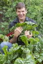 Backyard harvest Royalty Free Stock Photo