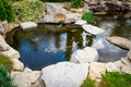 Backyard landscaping, Japanese carp pond Royalty Free Stock Photo