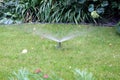 On the backyard lawn, water sprays the lawn on an autumn day.