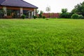 Backyard with lush green grass on sunny day, closeup Royalty Free Stock Photo