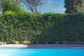 Backyard with outdoor inground residential swimming pool, garden, deck and green hedge sunny day in the summer