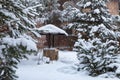 Landscape with barbeque area, snowbanks of white snow, pine trees in country garden.