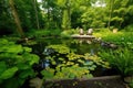 backyard pond surrounded by lush greenery and peaceful atmosphere