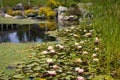 Backyard Pond Water Feature Royalty Free Stock Photo