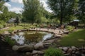 backyard with pond and waterfowl, including ducks and geese