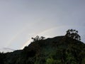 Backyard, after rain, rainbow, natural forest