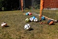 Backyard soccer with various colored balls