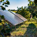 Backyard Solar Setup: Clean Power, generative ai