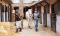 Backyard of the stables on typical autumn day - horse walking and tidying up territory Royalty Free Stock Photo